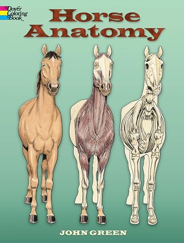 Horse Anatomy (Dover Pictorial Archive) (Dover Science for Kids Coloring Books)